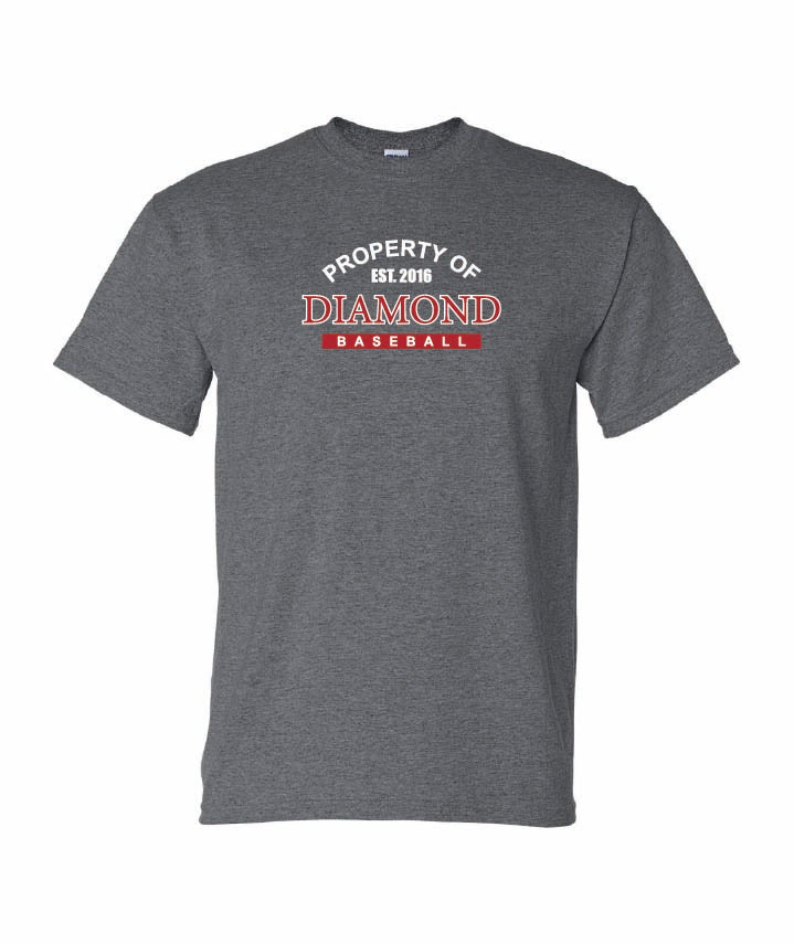Gildan Youth T-Shirt Dryblend