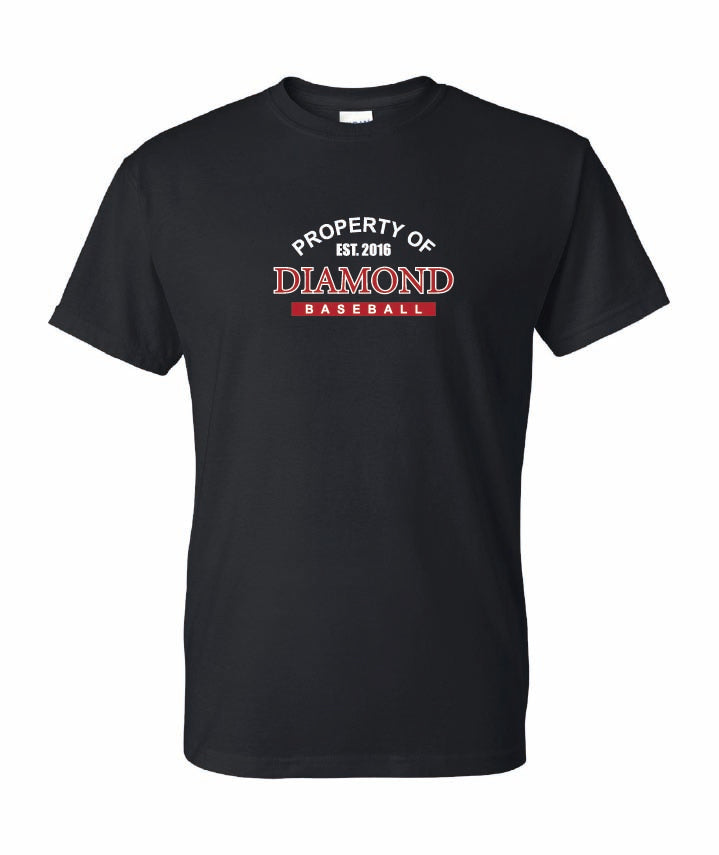 Gildan Youth T-Shirt Dryblend