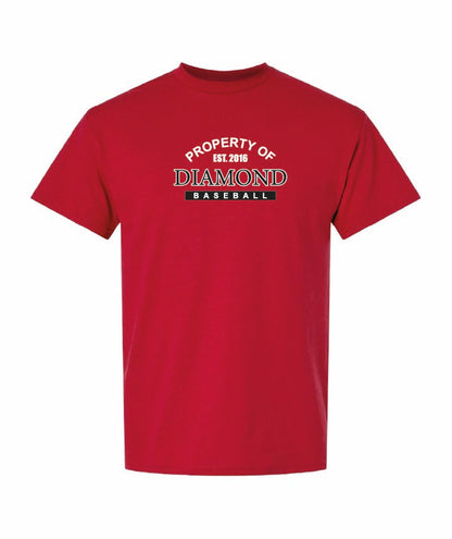 Gildan Youth T-Shirt Dryblend
